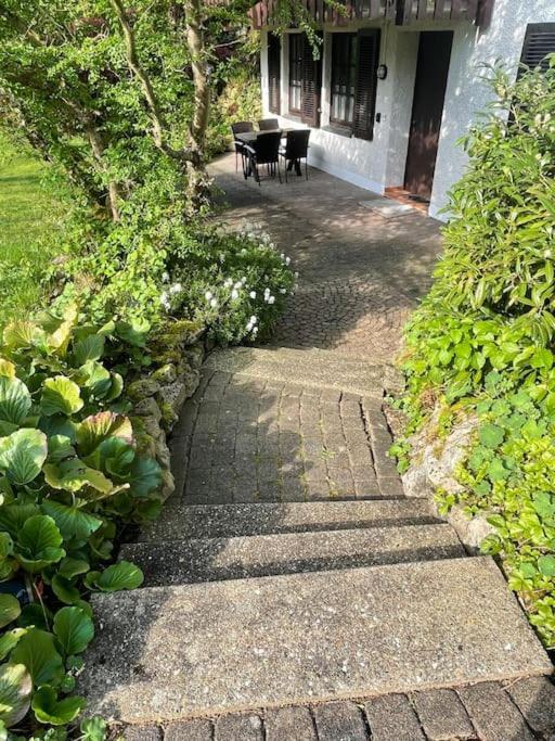 Ferienwohnung Zum Zauberwald Marsberg Exterior foto